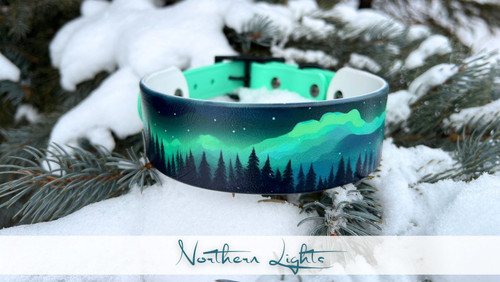 Northern Lights Teal