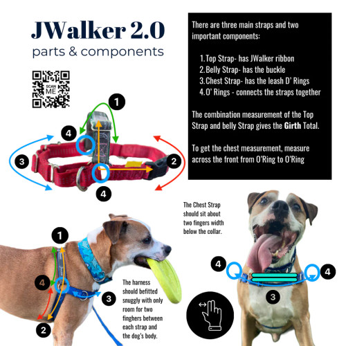 JWalker Dog Harness