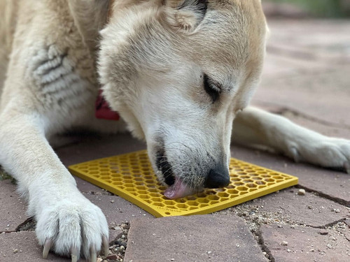 Honeycomb Design eBowl Enrichment Slow Feeder Bowl for Dogs