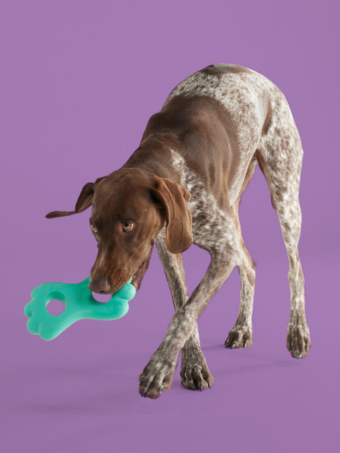 Dog Toys - Shop Ultra Durable Dog Toys Canada Wide