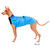 Pharaoh Hound wearing a Harbour Slicker in Turquoise