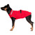 Black and Tan mixed breed puppy wearing the Chilly Sweater in Red.