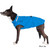 Medium sized black dog wearing the Chilly Sweater in Blue Jay.