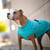 Pit Bull wearing the Chilly Sweater in Arctic Blue