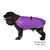 Cocker Spaniel wearing the Great White North coat in Imperial Purple Shell