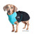 Dachshund wearing the Great White North coat in Arctic Blue