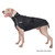 Weimaraner dog wearing the Chilly Dogs Alpine Blazer in Black