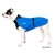 Pitbull mix dog wearing the Chilly Dogs Alpine Blazer in Royal Blue