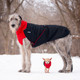 Irish Wolfhound and Chihuahua wearing the Great White North coat in Classic Red