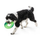 Dog carrying green West Paw Sailz Frisbee Dog Toy