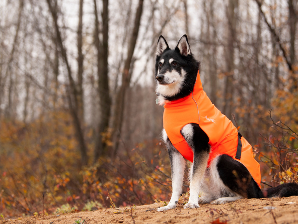 CENTURY REFLECTIVE SPLATTER DOG COAT