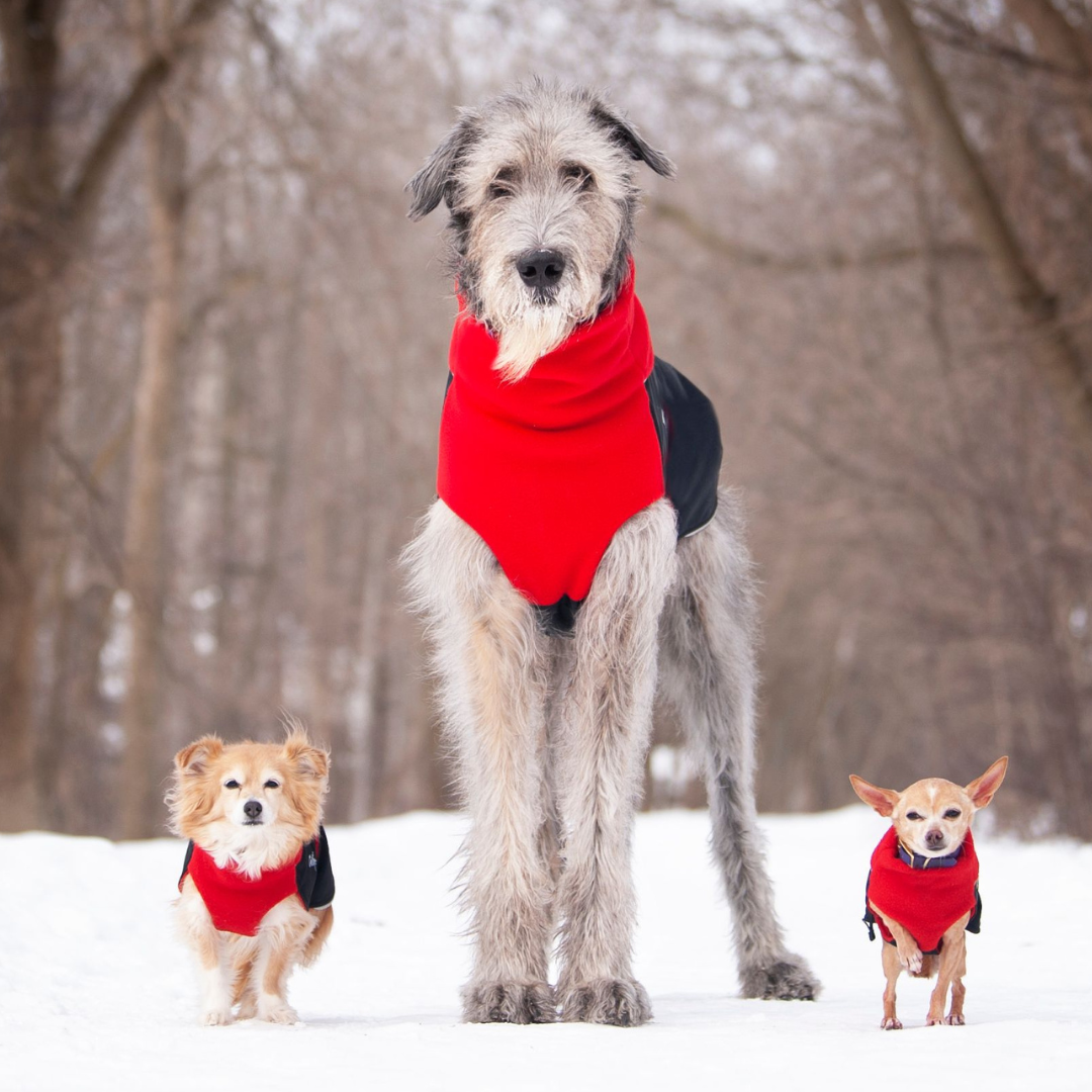 Dog Coats - Canadian-Made Jackets for Dogs of All Sizes