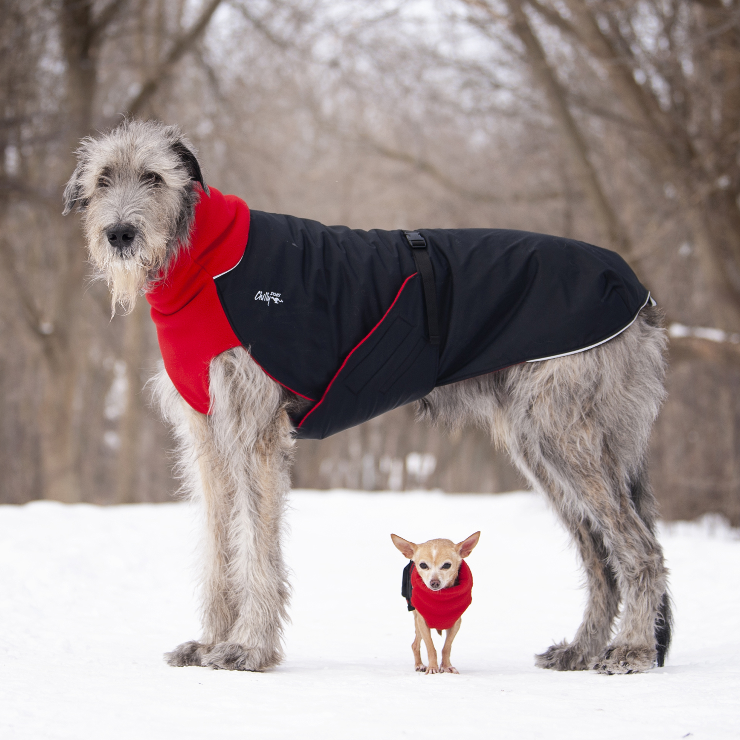 Great White North Dog Coat