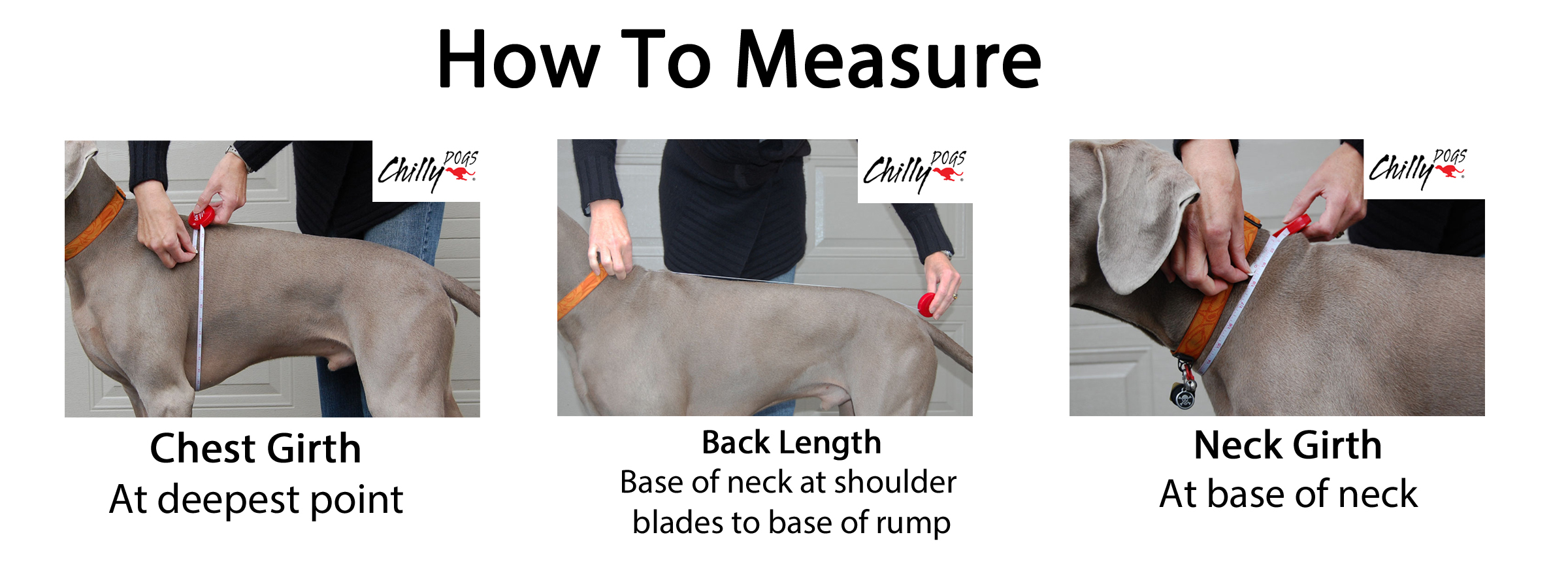 how do you measure a dogs back