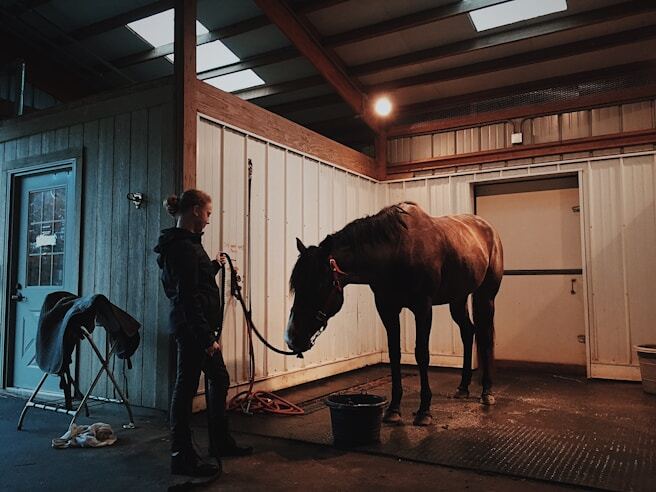 Stable Equipment & Supplies