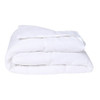 Living & Co Duvet Inner All Season Down Alternative White Queen