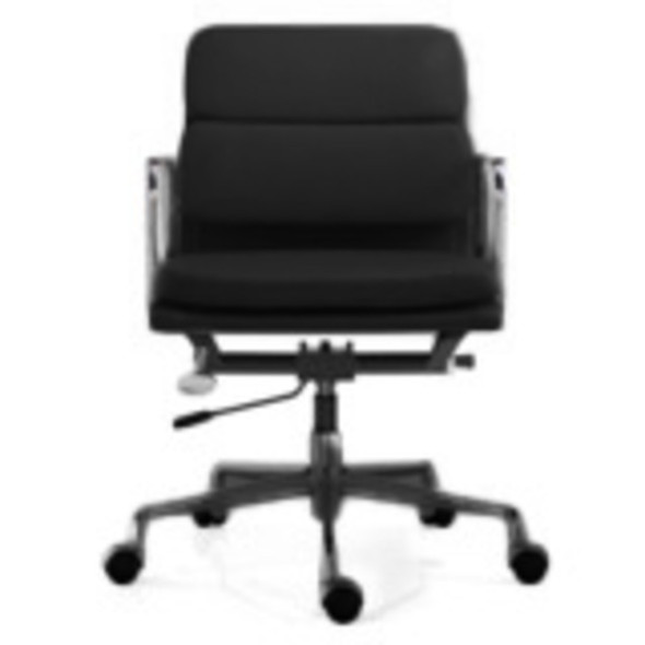 Low Back soft pad chair
