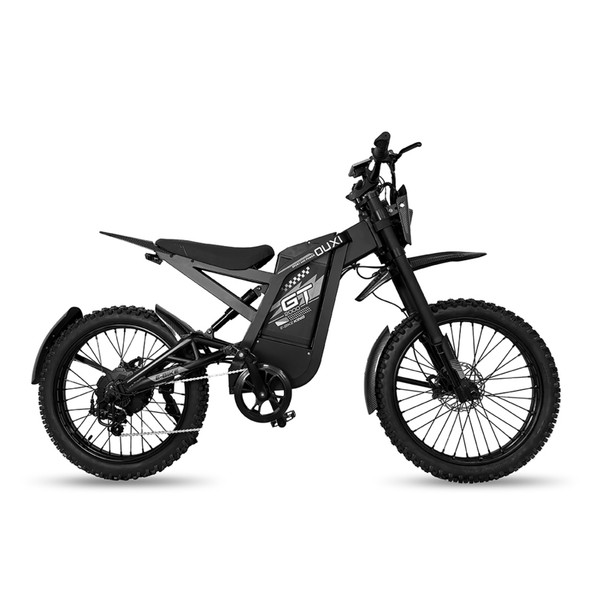 Ebike GT2000