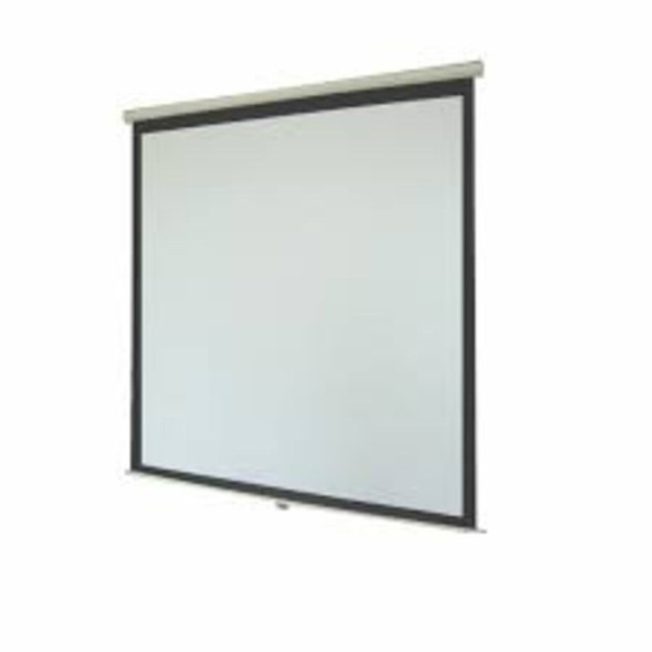 100 inch Manual Projector Scree