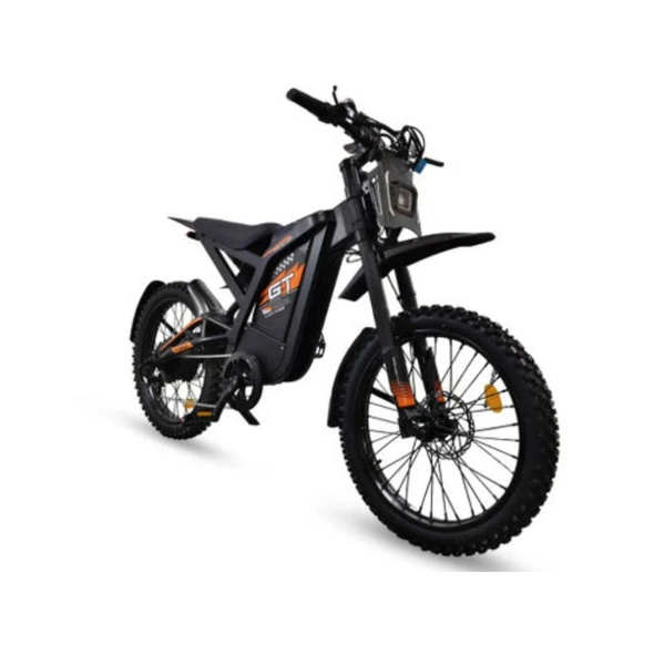Ebike GT2000