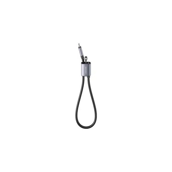 60W Type-C to Type-C Lanyard Tarnish