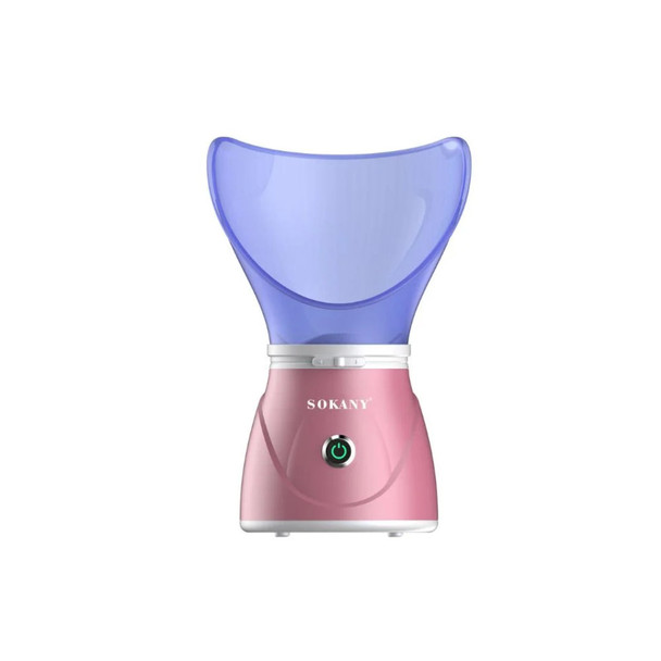 Facial Ionic Steamer