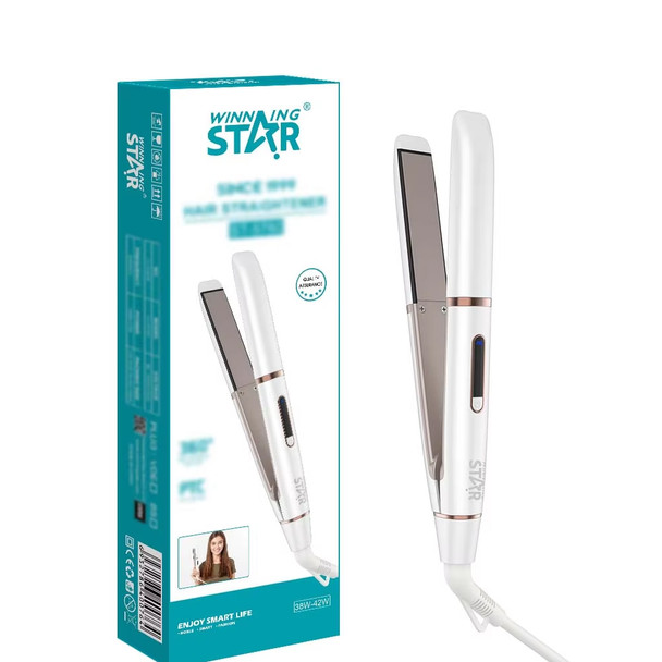 Hair Straightener 5760
