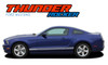 Ford Mustang Vinyl Graphics Decals Stripes Kit THUNDER ROCKER Lower Rocker Panel Stripes Vinyl Graphic Decals Kit