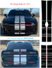 N-CHARGE RALLY 24 | 2024-2026 Dodge Charger Racing Stripes | Rally Vinyl Graphics Decals Kit