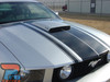 FASTBACK 2 for 2005-2009 Ford Mustang BOSS Style Hood Side Door Vinyl Graphics Racing Stripe Kit