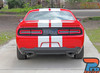 INTAKE RALLY Dodge Challenger SRT RT Hellcat Racing Stripes 10" Vinyl Graphics Rally Striping Kit