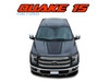 QUAKE 15 PACKAGE Hockey Stripe Tremor FX Appearance Style Side Doors and Hood Vinyl Graphics Decals Striping Kit : Ford F-Series F-150 Vinyl Graphics Decals Stripes Kit