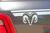 Dodge Ram 1500 RAM EDGE Graphic with Ram Head Logo – A close-up of the Ram Head logo decal on the RAM EDGE side stripe kit, providing an aggressive, high-performance truck aesthetic.