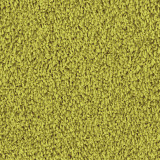 Tosh  1417 Tosh  1417