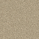Poodle  1406