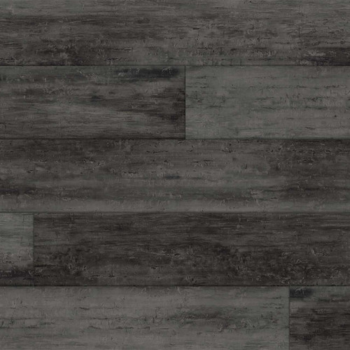 Piermont Midnight Plank