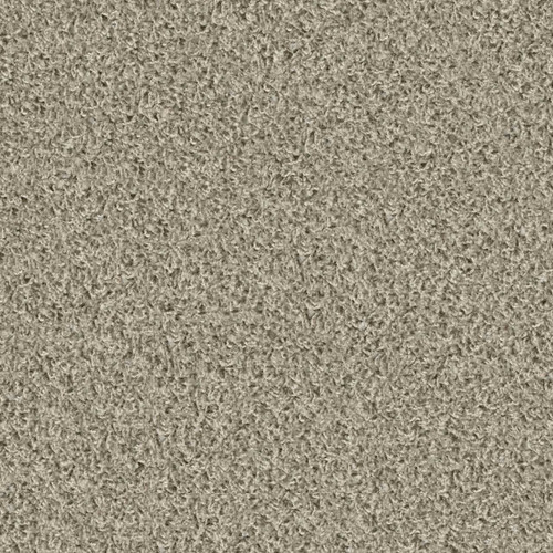 Poodle  1404 Poodle  1404