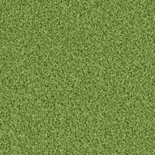 Poodle  1422 Poodle  1422