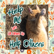 Help Me Help Others