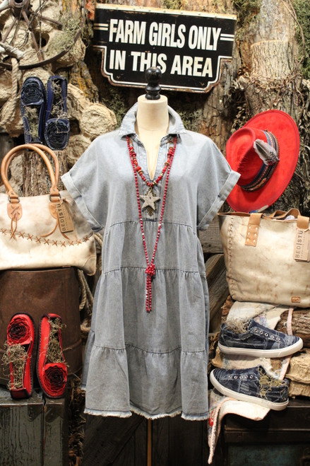 South Meadow Denim Dress