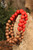 Beads Baby Coral Bracelet