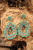Sassy Turquoise Earrings