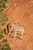 Elephant Brooch