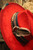 Head For The Hills Red Hat