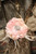 Vintage Pink Flower Pin 