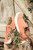 Malia SunCoral Sneaker  