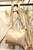 Tan Hint Hobo Handbag