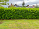 10 Cherry Laurel Fast Growing Evergreen Hedging Plants 30-50cm Tall, Potted