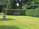 15 Green Beech Hedging Plants 2-3ft Fagus Sylvatica Trees,Copper Winter Leaves