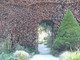 10 Green Beech Hedging Plants 3-4ft Fagus Sylvatica Trees,Copper Winter Leaves